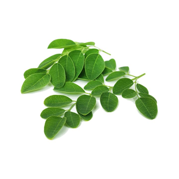 Normadex enthält Moringa Blat - e mächtegt natierlecht Mëttel géint Parasiten