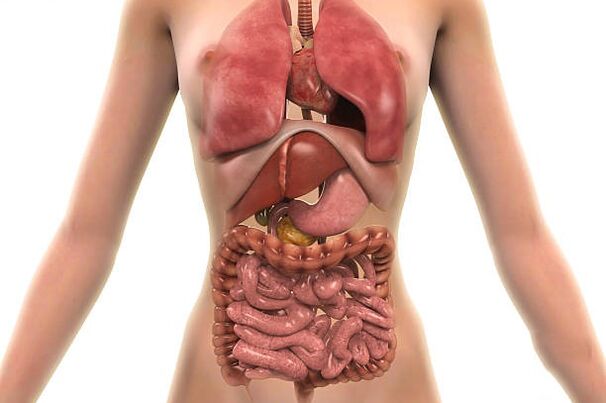 Parasiten am mënschleche Kierper