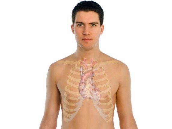 wéi Parasiten mënschlech Organer beaflossen