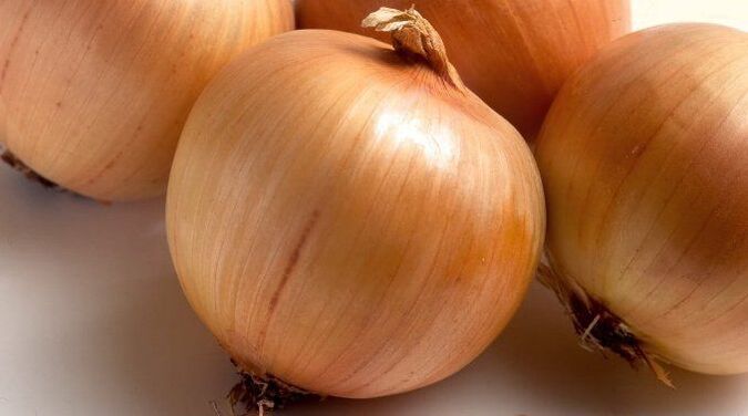 Zwiebel fir Würmer