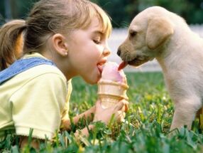 e Meedchen ësst Glace mat engem Hond a gëtt mat Parasiten infizéiert